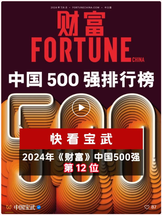 宝武第12位！2024年《财富》中国500强排行榜揭晓